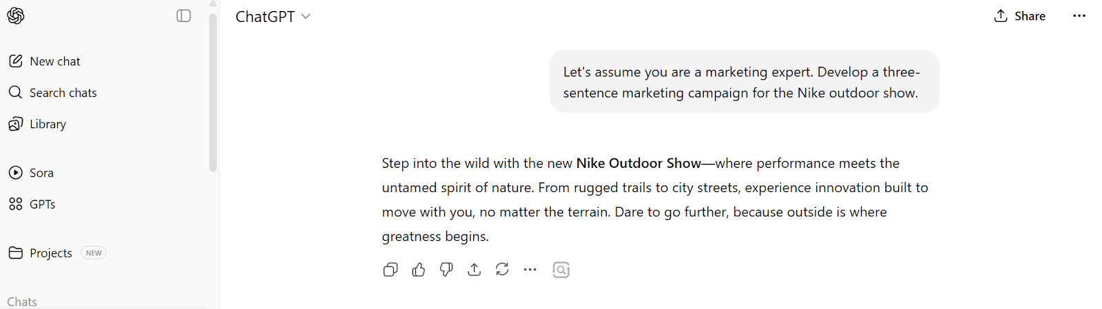 A screenshot of a ChatGPT prompt on a Nike marketing campaign. 