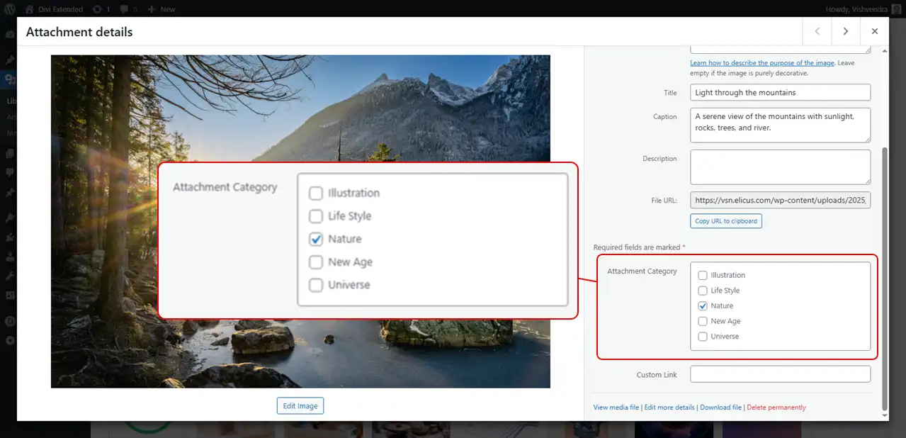 WordPress Attachment Category option by the Divi Image Gallery plugin Divi Gallery Extended.