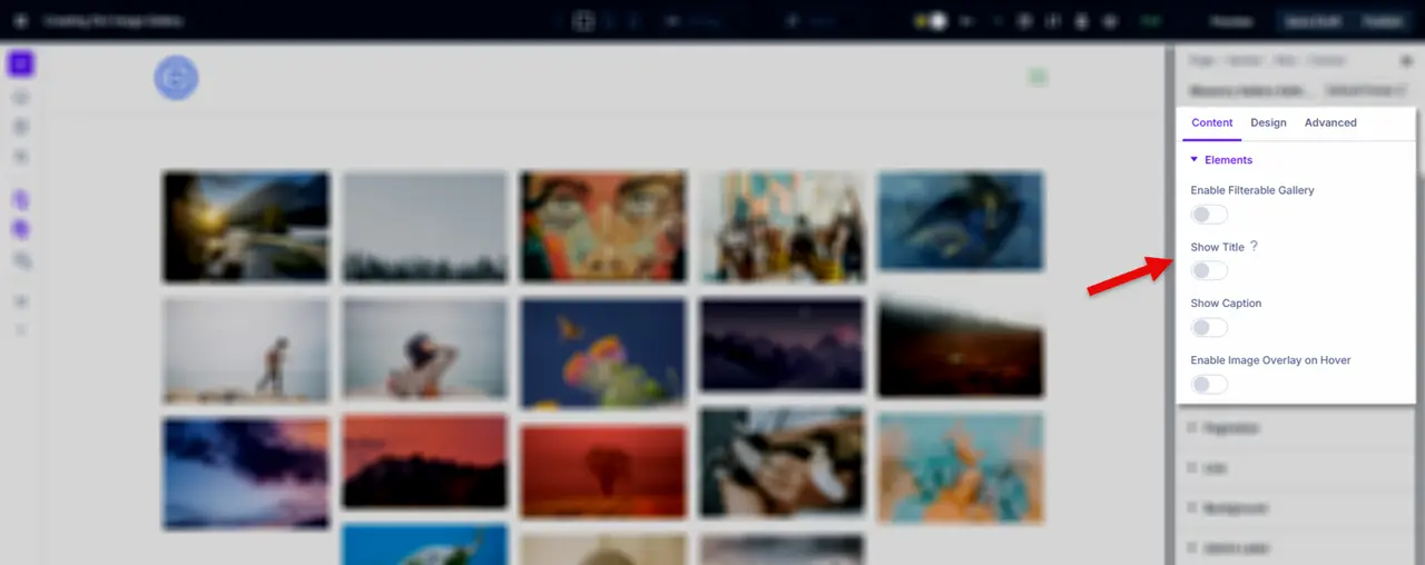 The Elements options of the Masonry Gallery module for Divi 5