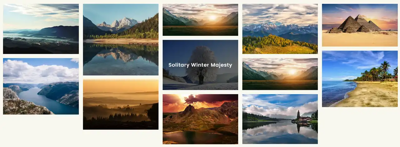 Divi Photo Gallery Example 2