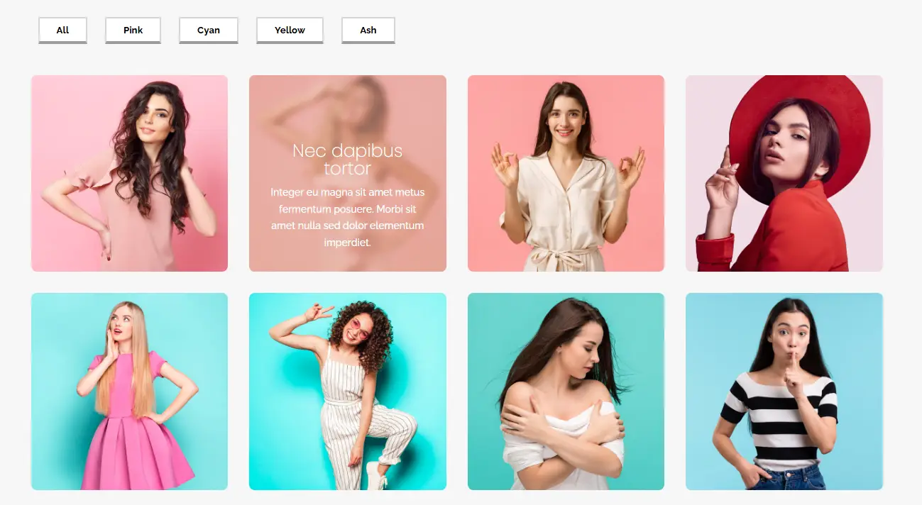 Divi Photo Gallery Example 6