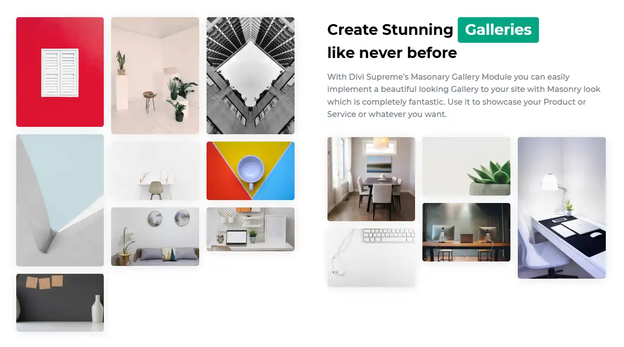 Divi Photo Gallery Example 7