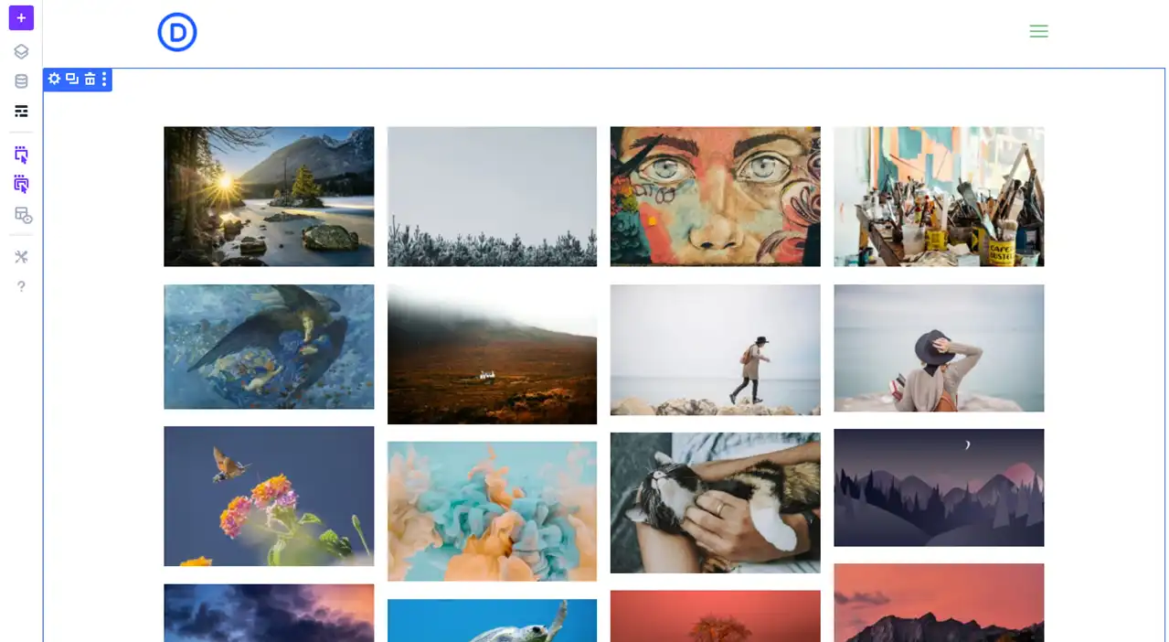 The first look of the image gallery in Divi by Masonry Gallery module.