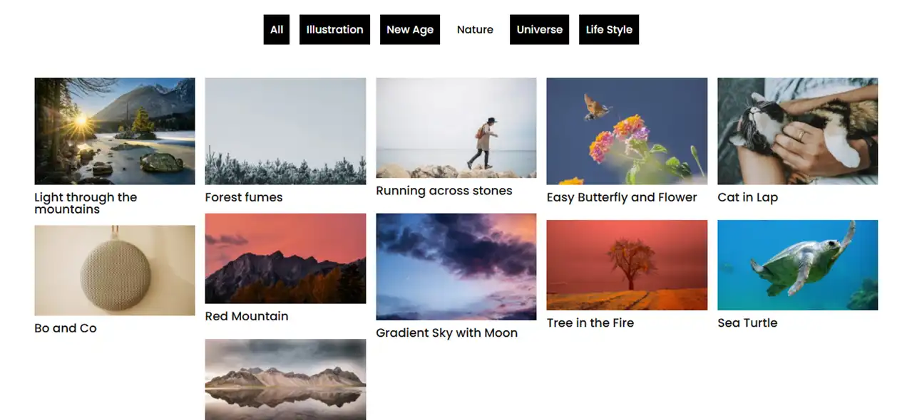 The Divi image gallery with titles and filters.