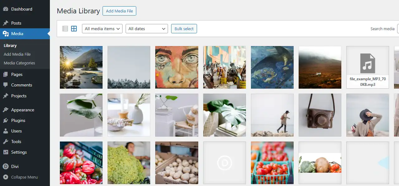The WordPress Media Library with all the images.