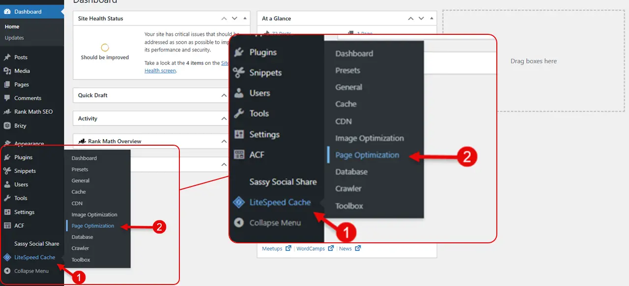 Accessing the Page Optimization feature of the LiteSpeed Cache plugin.