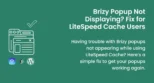 A quick tutorial on how to resolve the Brizy Popup not showing issue